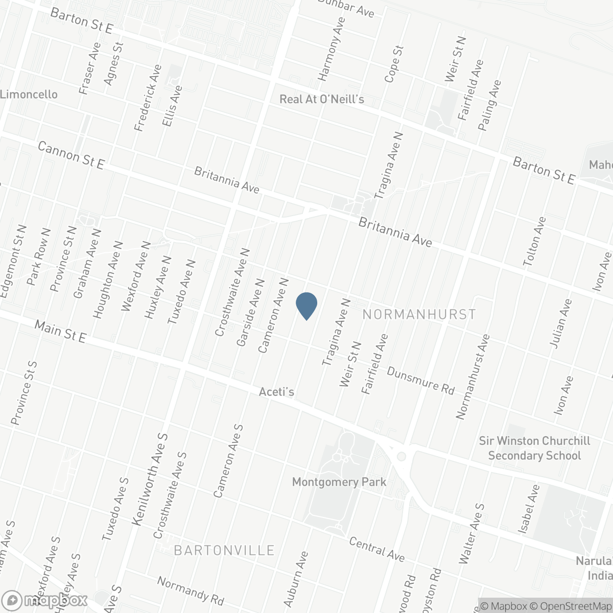 84 BARONS AVENUE N, Hamilton, Ontario L8H 5A4